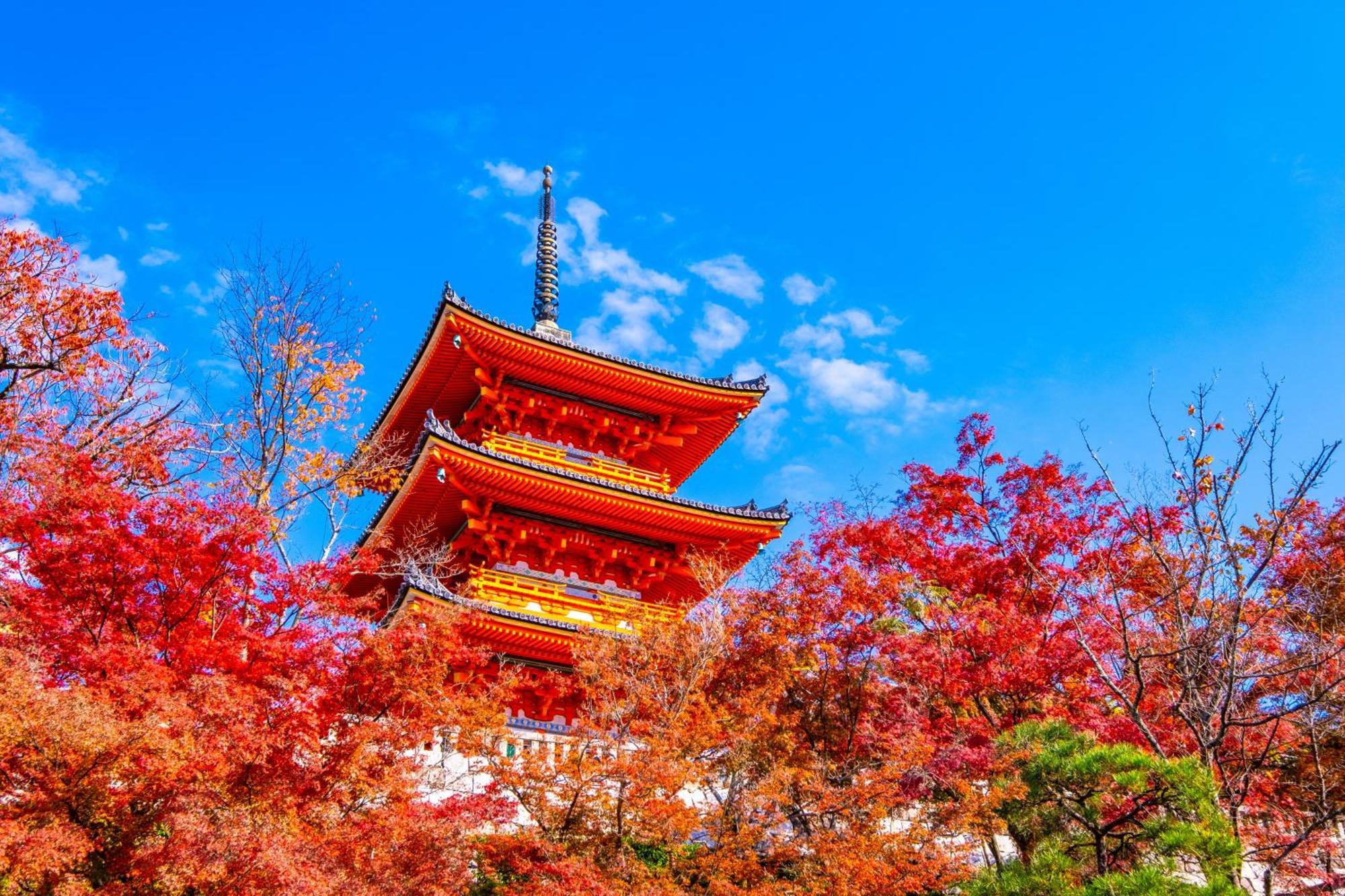 Tokyu Stay Kyoto Sanjo-Karasuma Exteriér fotografie