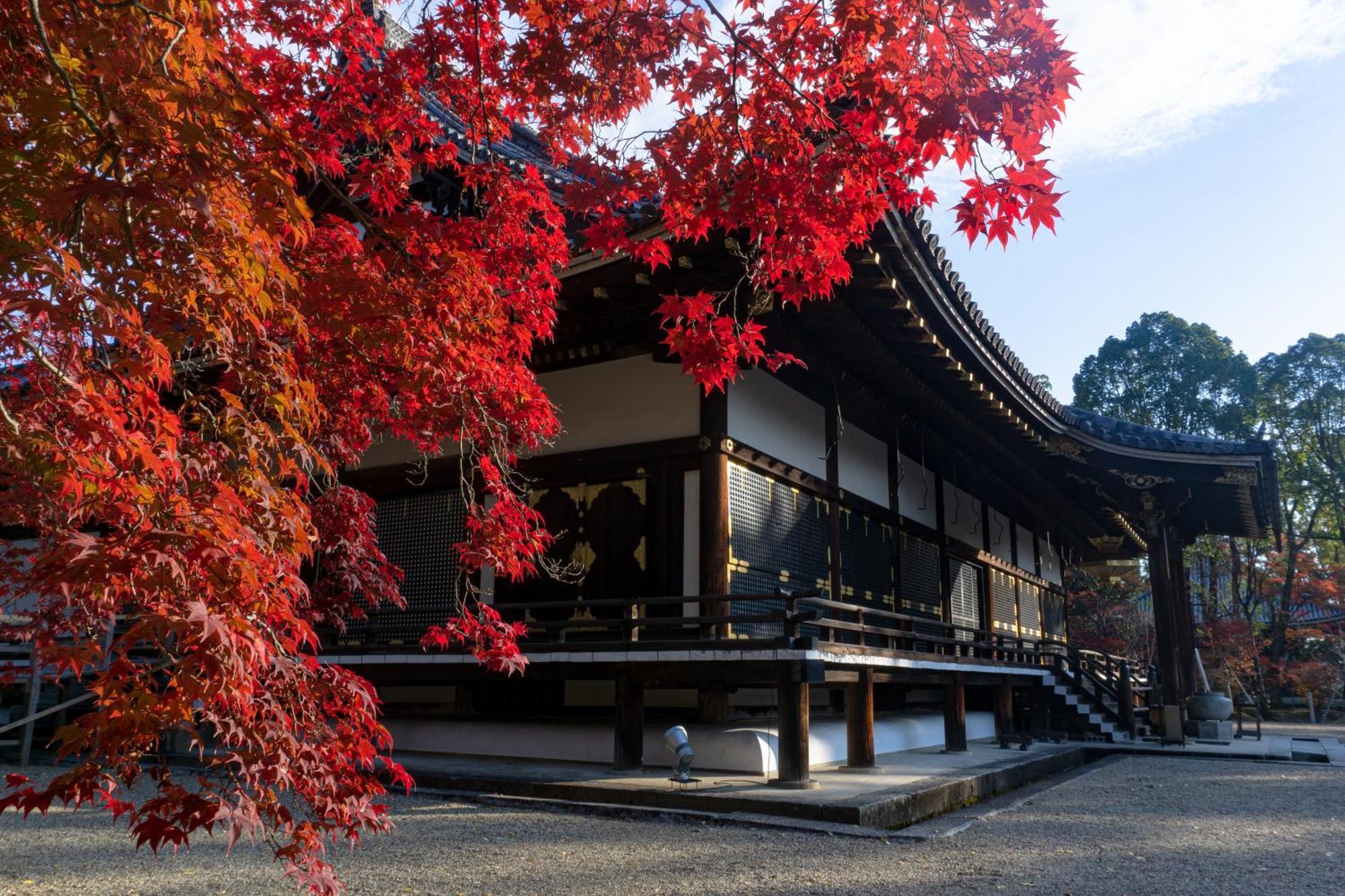 Tokyu Stay Kyoto Sanjo-Karasuma Exteriér fotografie