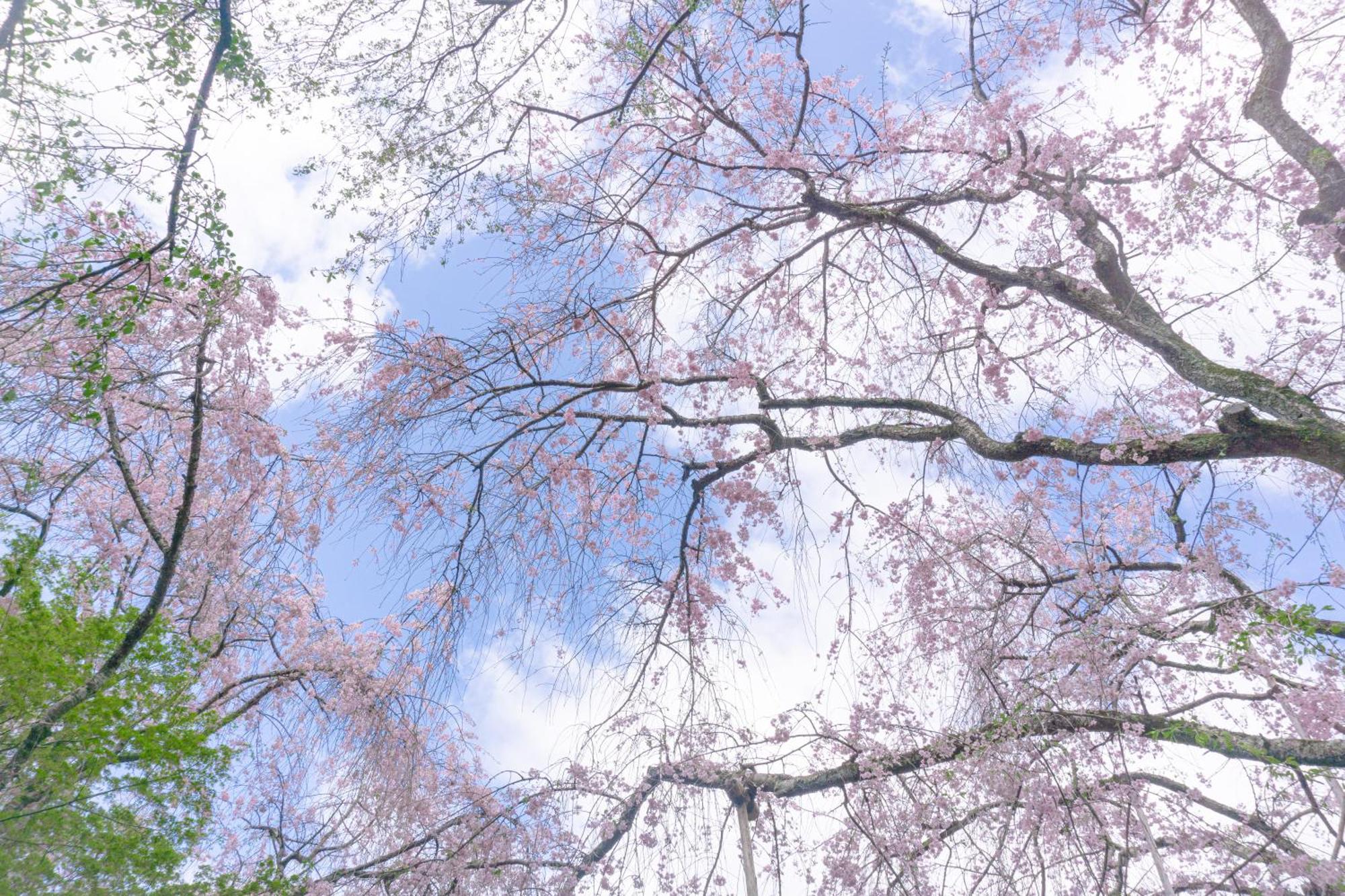 Tokyu Stay Kyoto Sanjo-Karasuma Exteriér fotografie