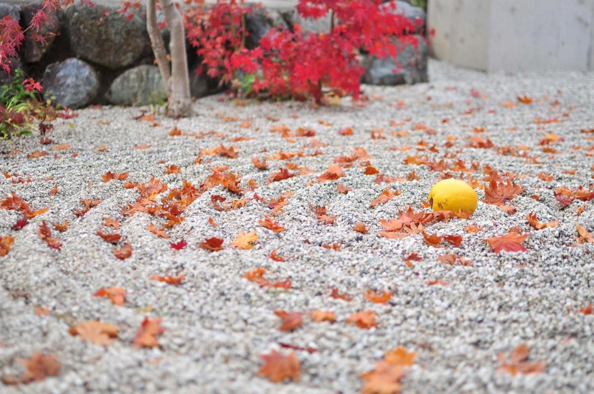 Tokyu Stay Kyoto Sanjo-Karasuma Exteriér fotografie