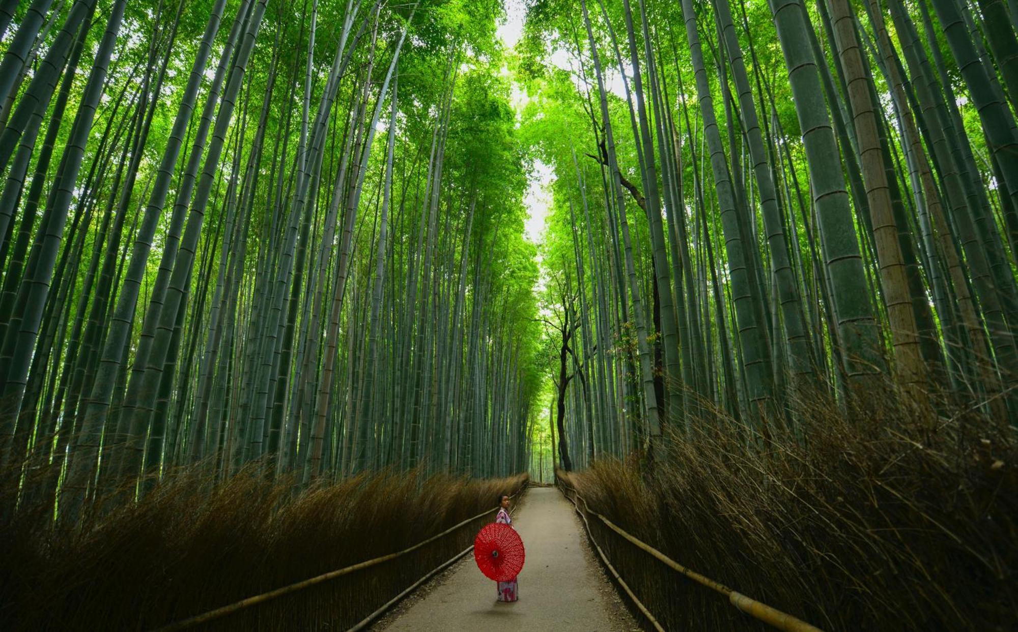 Tokyu Stay Kyoto Sanjo-Karasuma Exteriér fotografie
